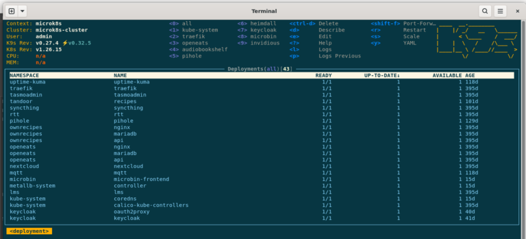 Picture of the software k8s showing data from a Kubernetes Cluster